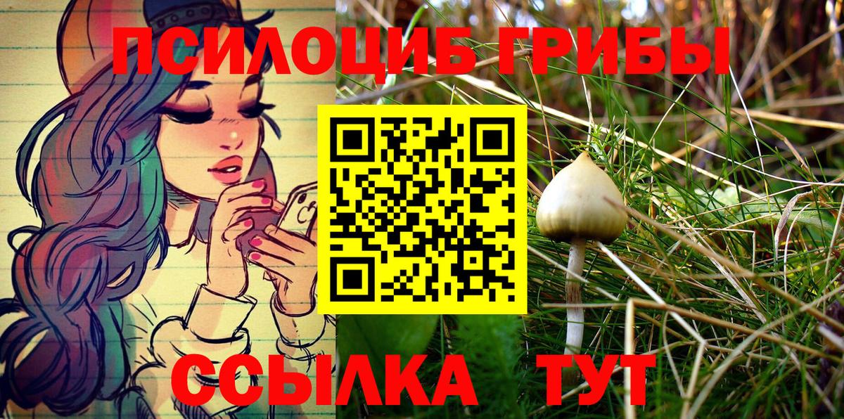 Егорьевск  Псилоцибиновые грибы MAGIC MUSHROOMS  Вход с VPN 